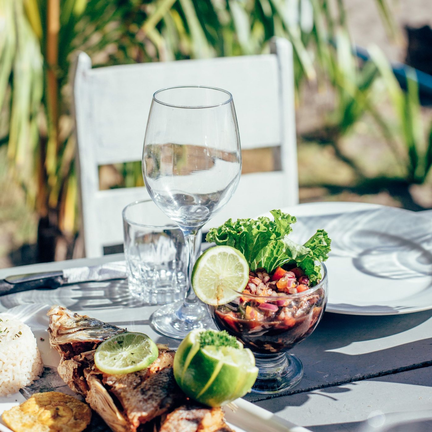Plato de pescado y ceviche — restaurante Nambí Lodge