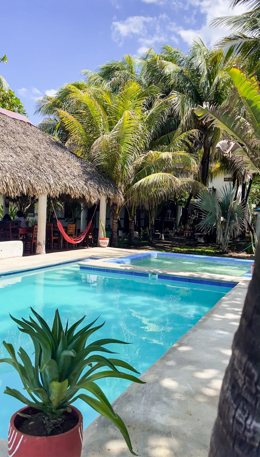 Piscina con palmeras y hamaca — Nambí Lodge